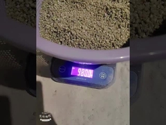 PE300 플라스틱 건조제 마스터배치 폴리에틸렌 운반기 주입 폼